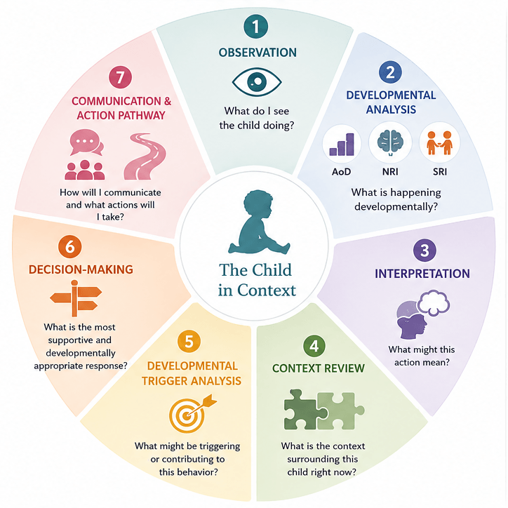 Circle diagram of the C.H.I.L.D. Development Observation Framework